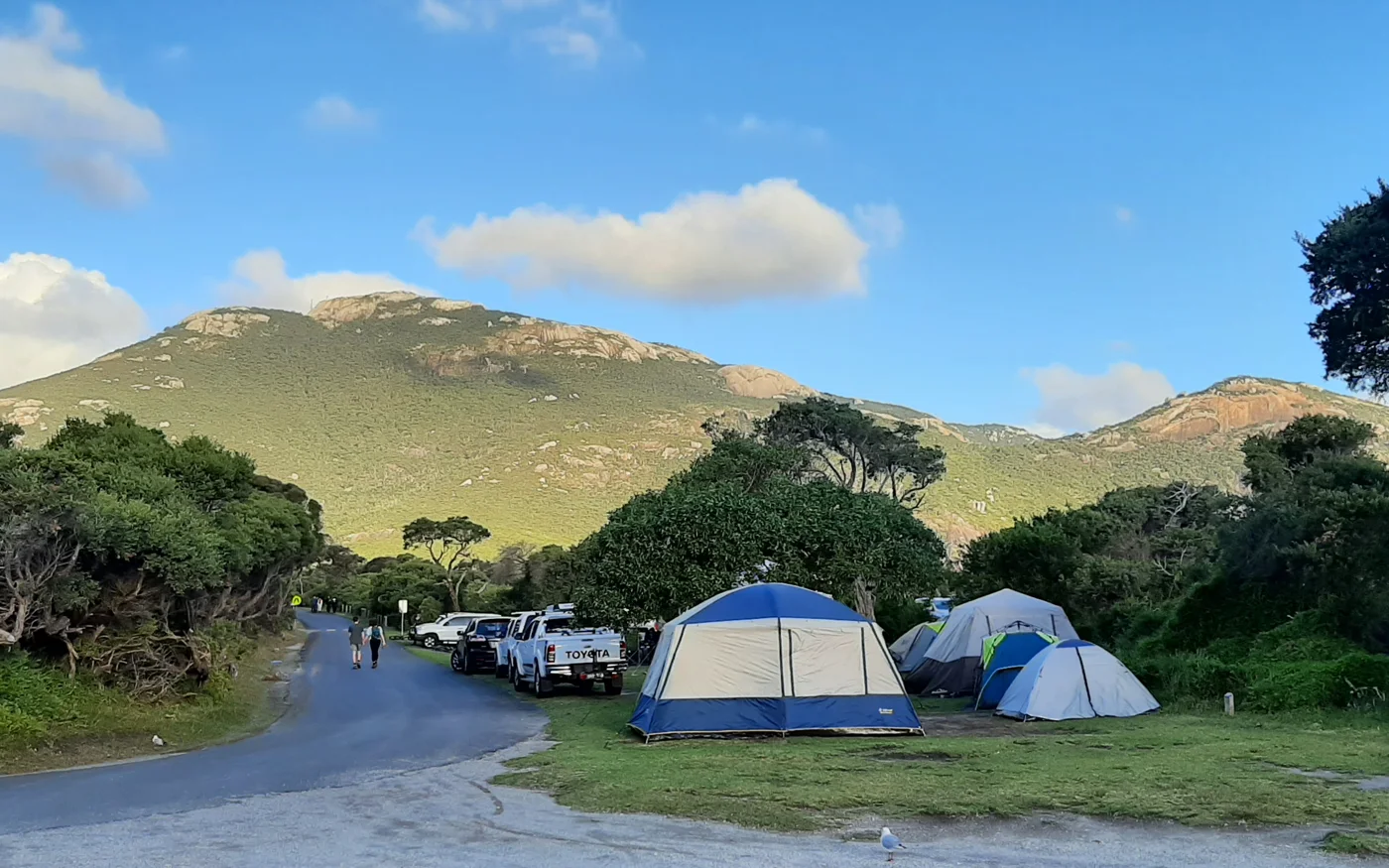 Mehrere unterschiedlich große Zelte auf einer Campingplatzparzelle neben einem befestigten Weg