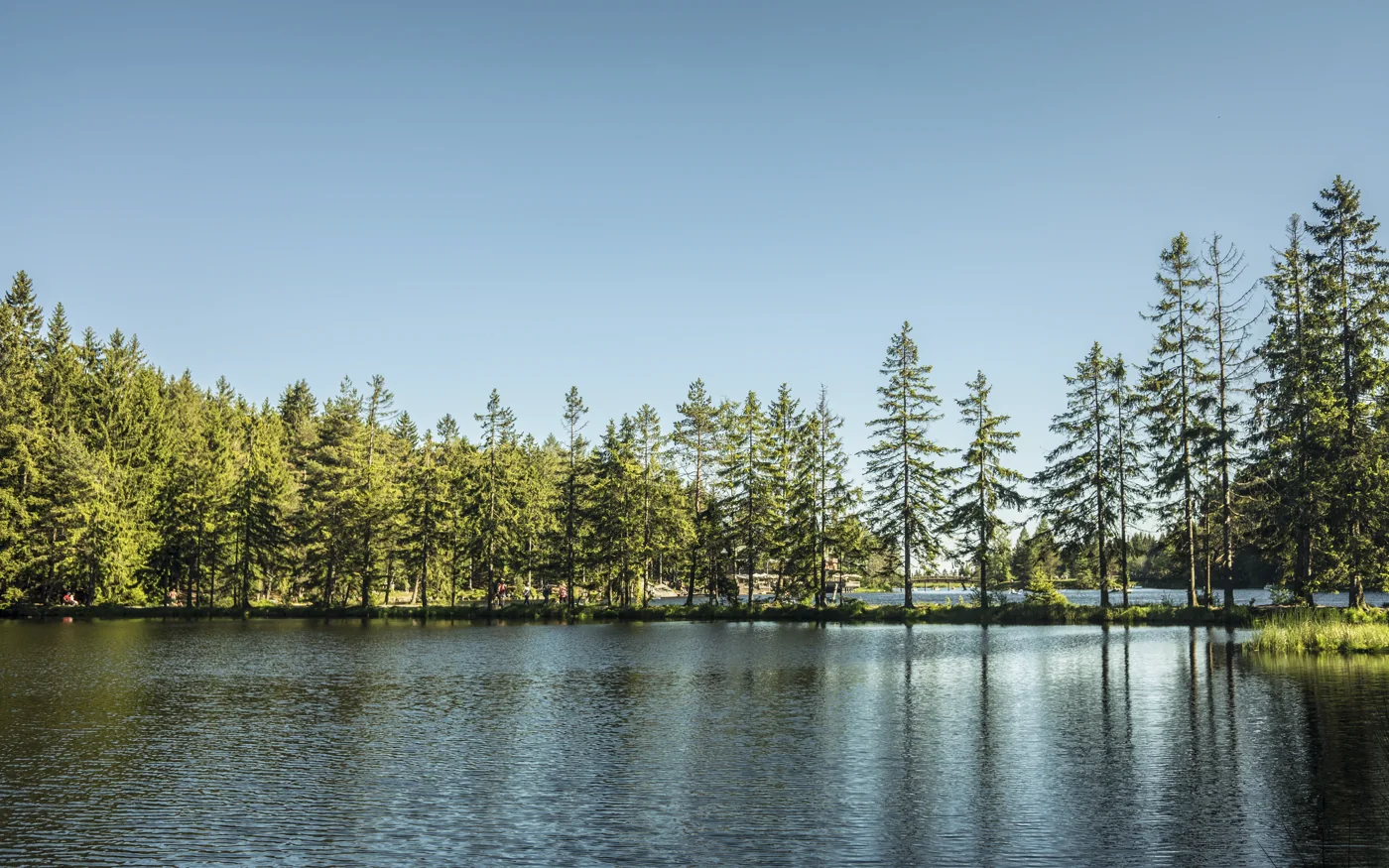 Fichtelsee in Oberfranken mit Wasserfläche, bewaldetem Ufer und blauem Himmel