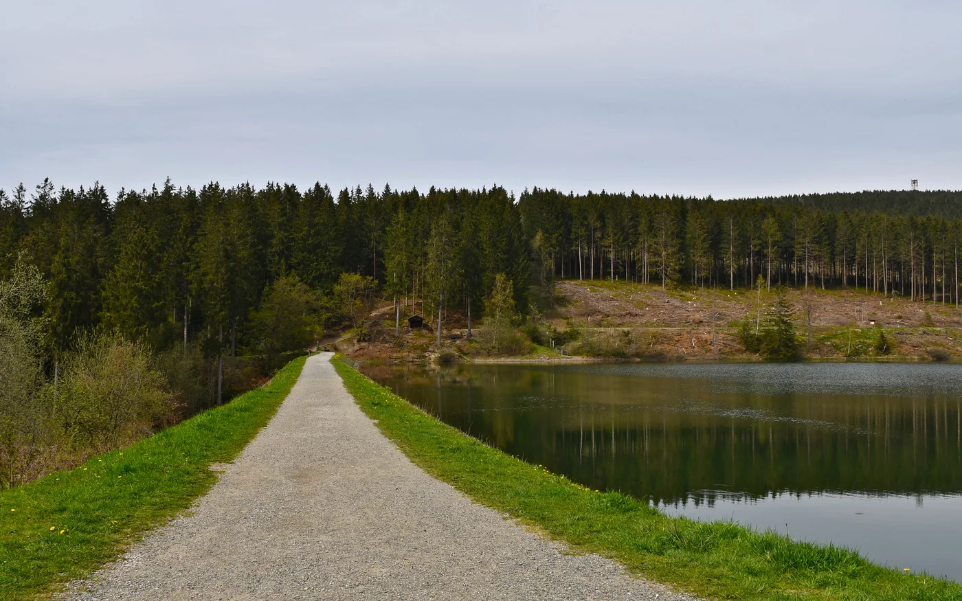 Breiter Weg über den Staudamm des Oberen Grumbacher Teichs bei Hahnenklee mit Wasser und Waldufer
