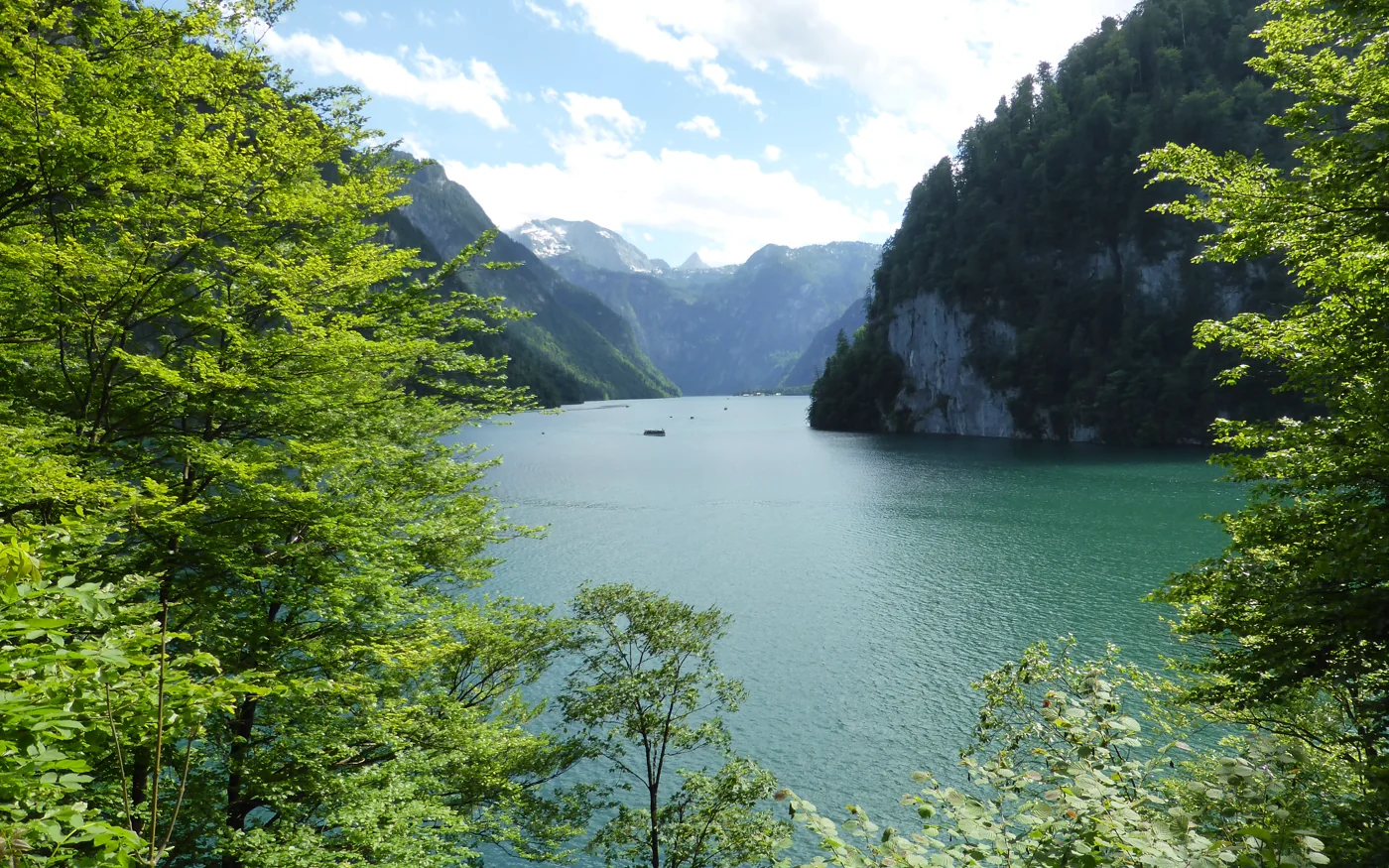 Blick vom bewaldeten Malerwinkl über den Königssee zwischen steilen Bergflanken