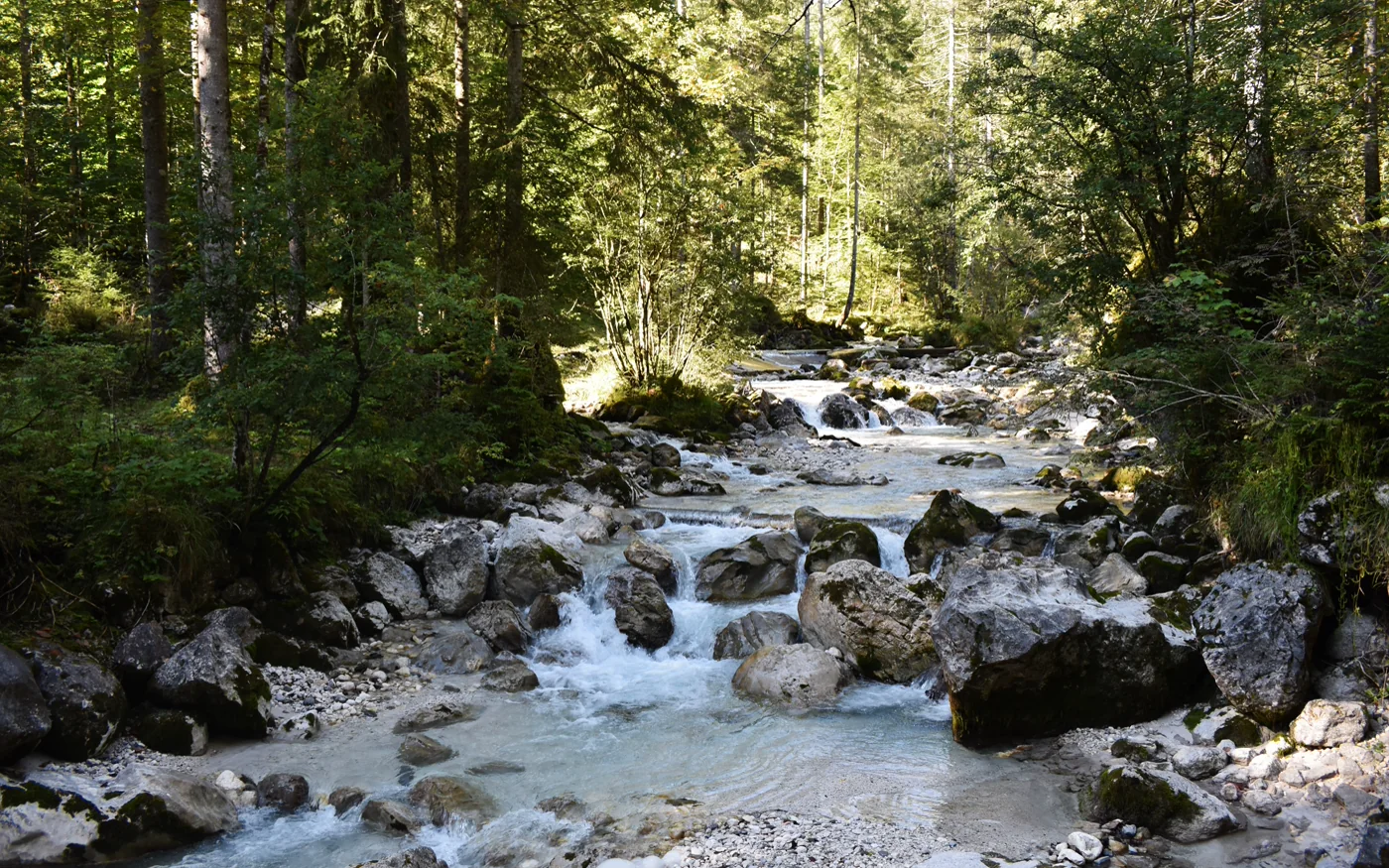 Ramsauer Ache zwischen großen Felsen und dichtem Wald im Zauberwald
