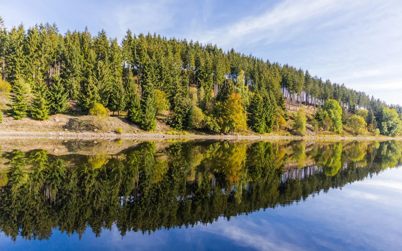Ruhige Wasserfläche der Königshütter Talsperre mit Spiegelung des bewaldeten Ufers