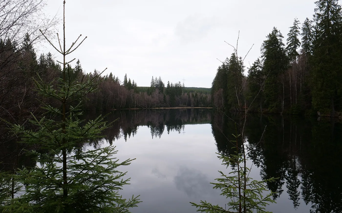 Silberteich zwischen dichtem Wald bei Braunlage