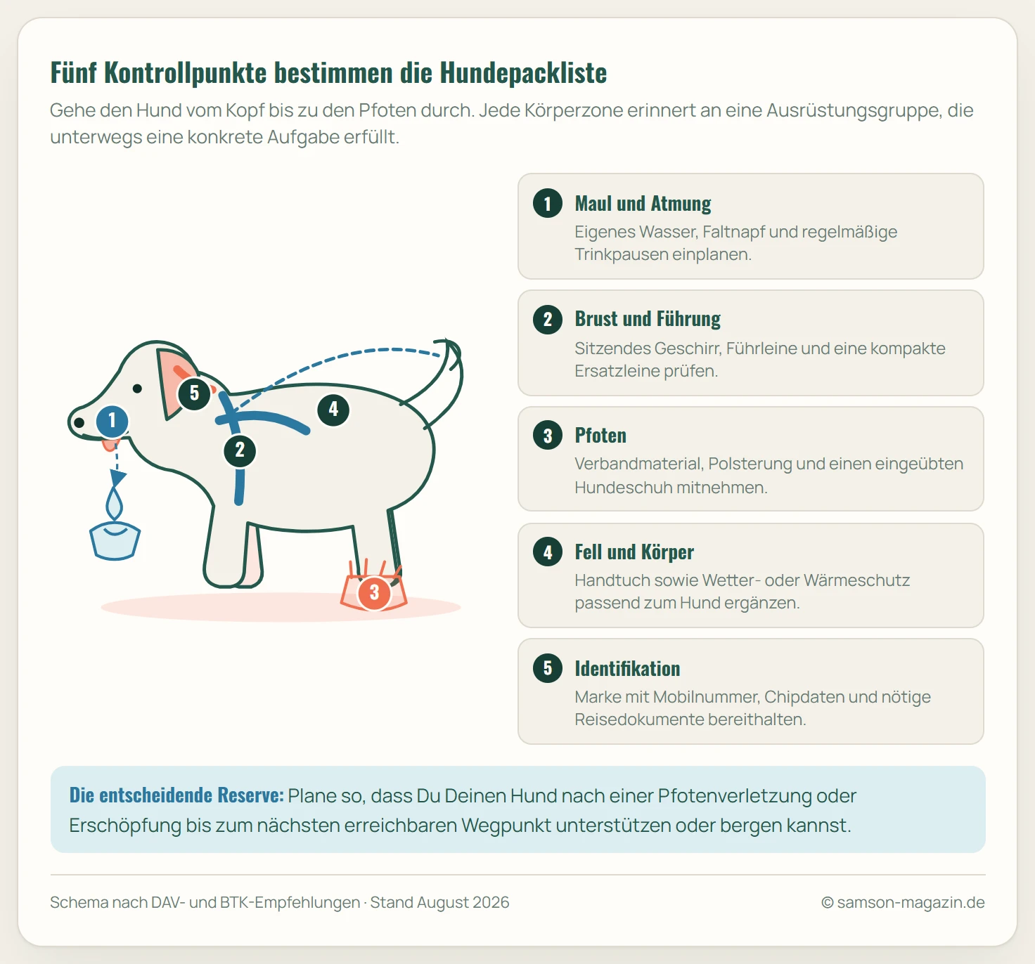 Schematische Seitenansicht eines Hundes mit fünf Kontrollpunkten: Maul für Wasser und Napf, Brust für Geschirr und Leine, Pfoten für Verband und Hundeschuh, Rücken für Wetter- und Wärmeschutz sowie Hals für Identifikationsmarke und Reisedokumente.