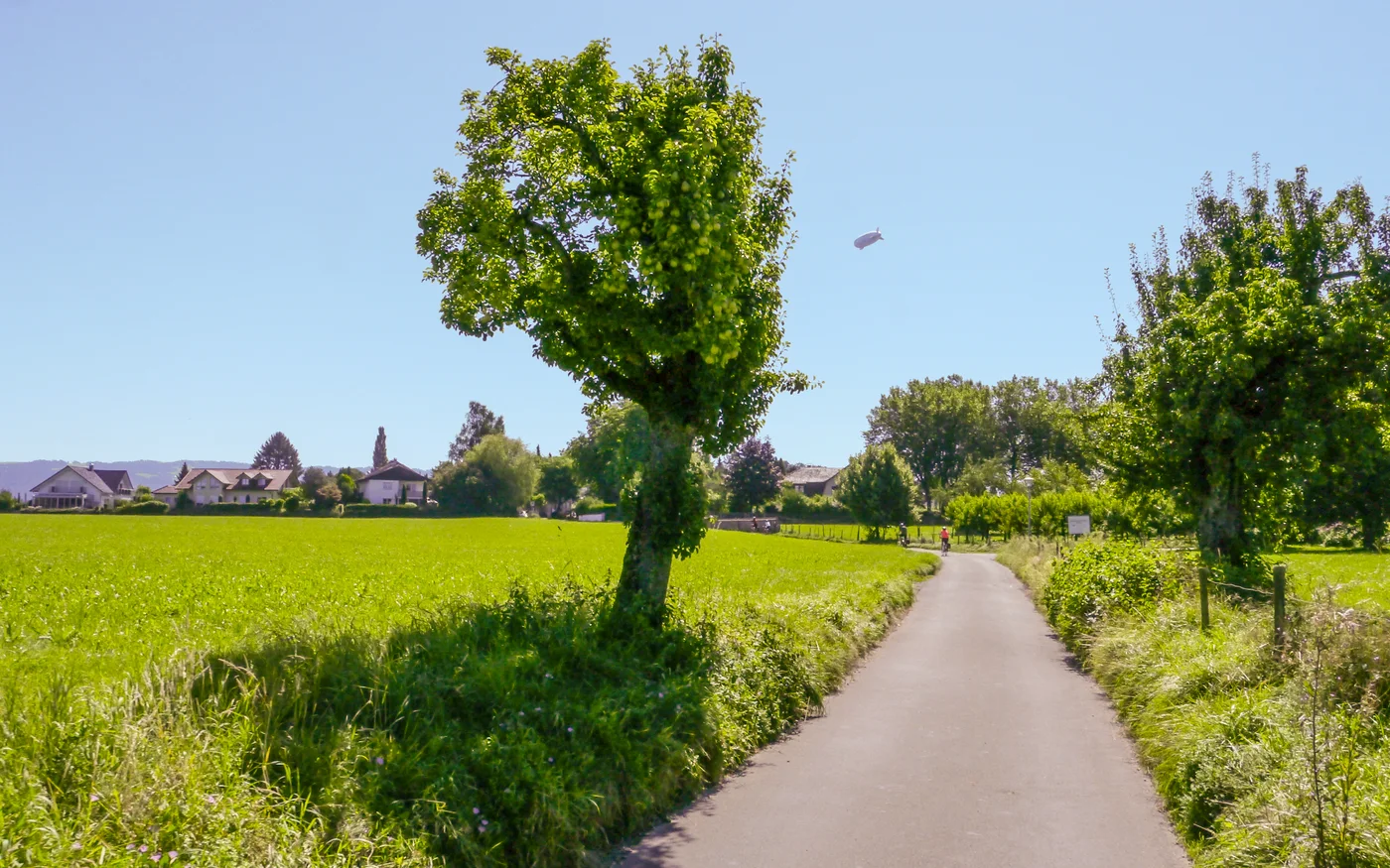 Asphaltierter Bodensee-Radweg vor Lindau zwischen grünen Wiesen und Obstbäumen, zwei Radfahrende in der Ferne und ein Zeppelin am Himmel