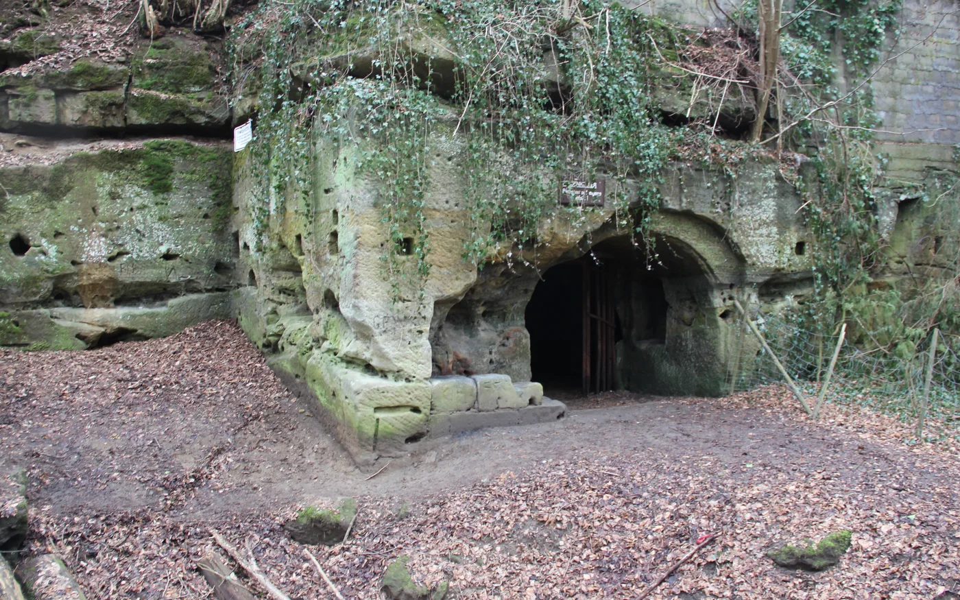 Eingang eines Felsenkellers in der sandsteinernen Löwengrube bei Altdorf mit Laub am Boden