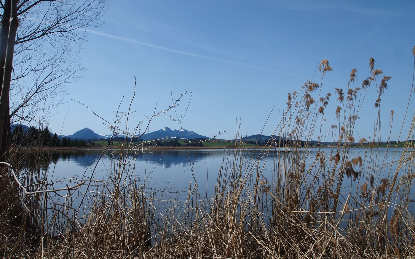 Blick vom Uferweg über den Hopfensee auf Berge im Dunst