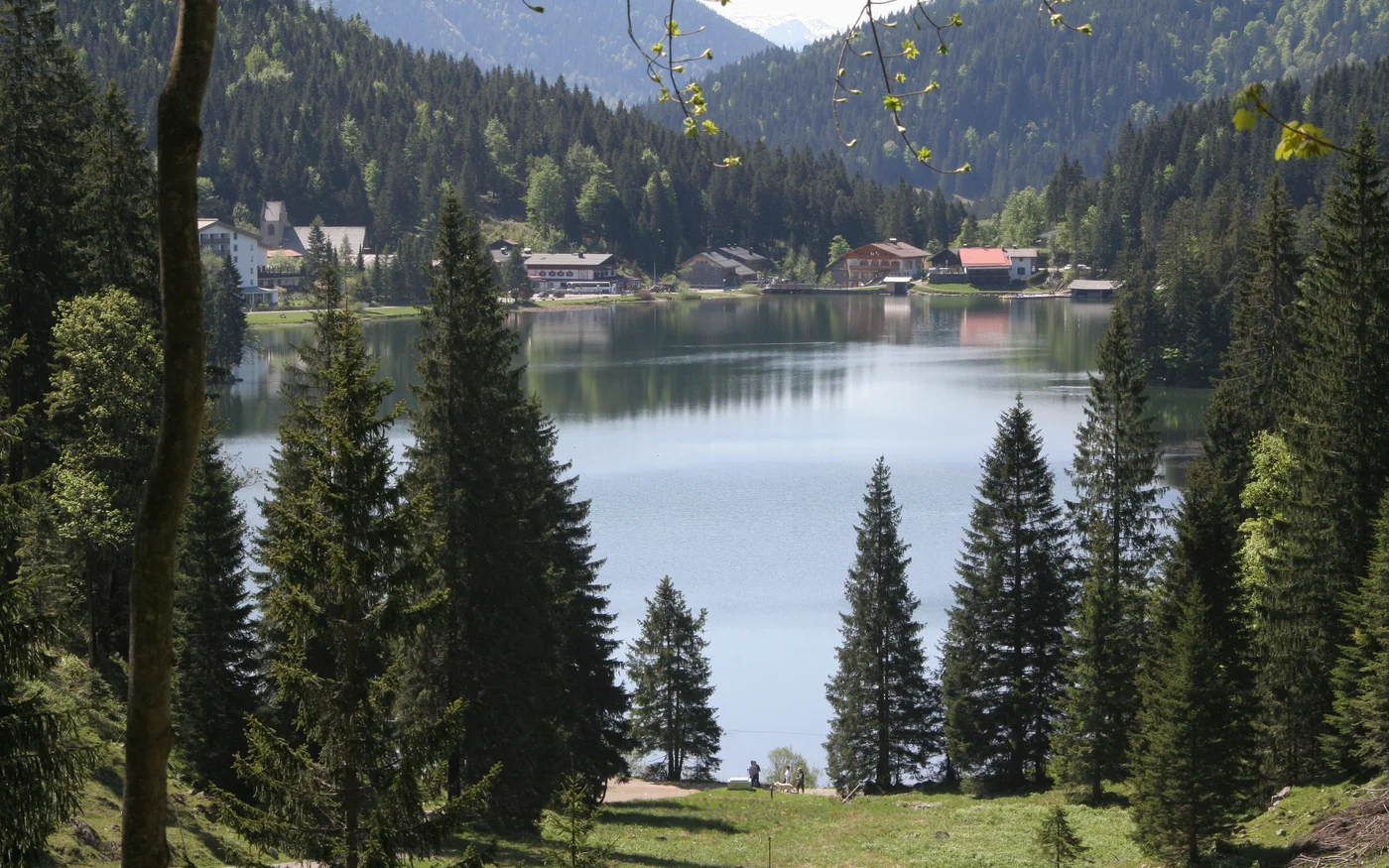 Blick vom Spitzingsattel über den Spitzingsee zwischen bewaldeten Berghängen